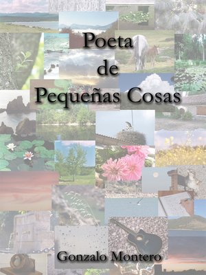 cover image of Poeta de Peque&#8211;as Cosas